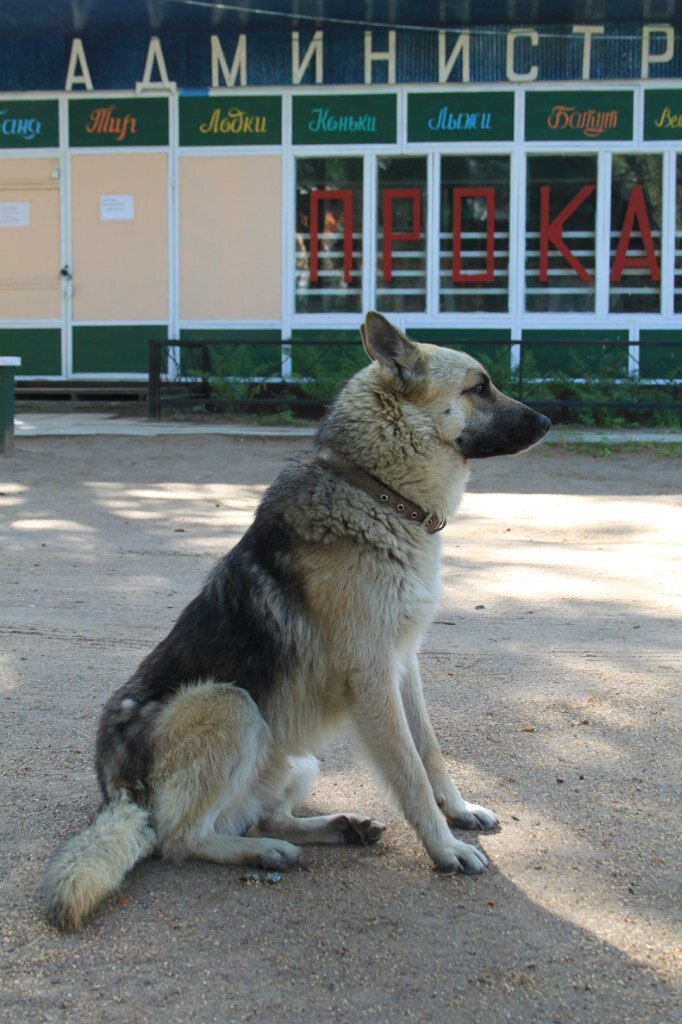 Фото Грузино-4