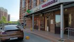 Suncityflower (Baki Urmanche Street, 8) ، محل زهور
