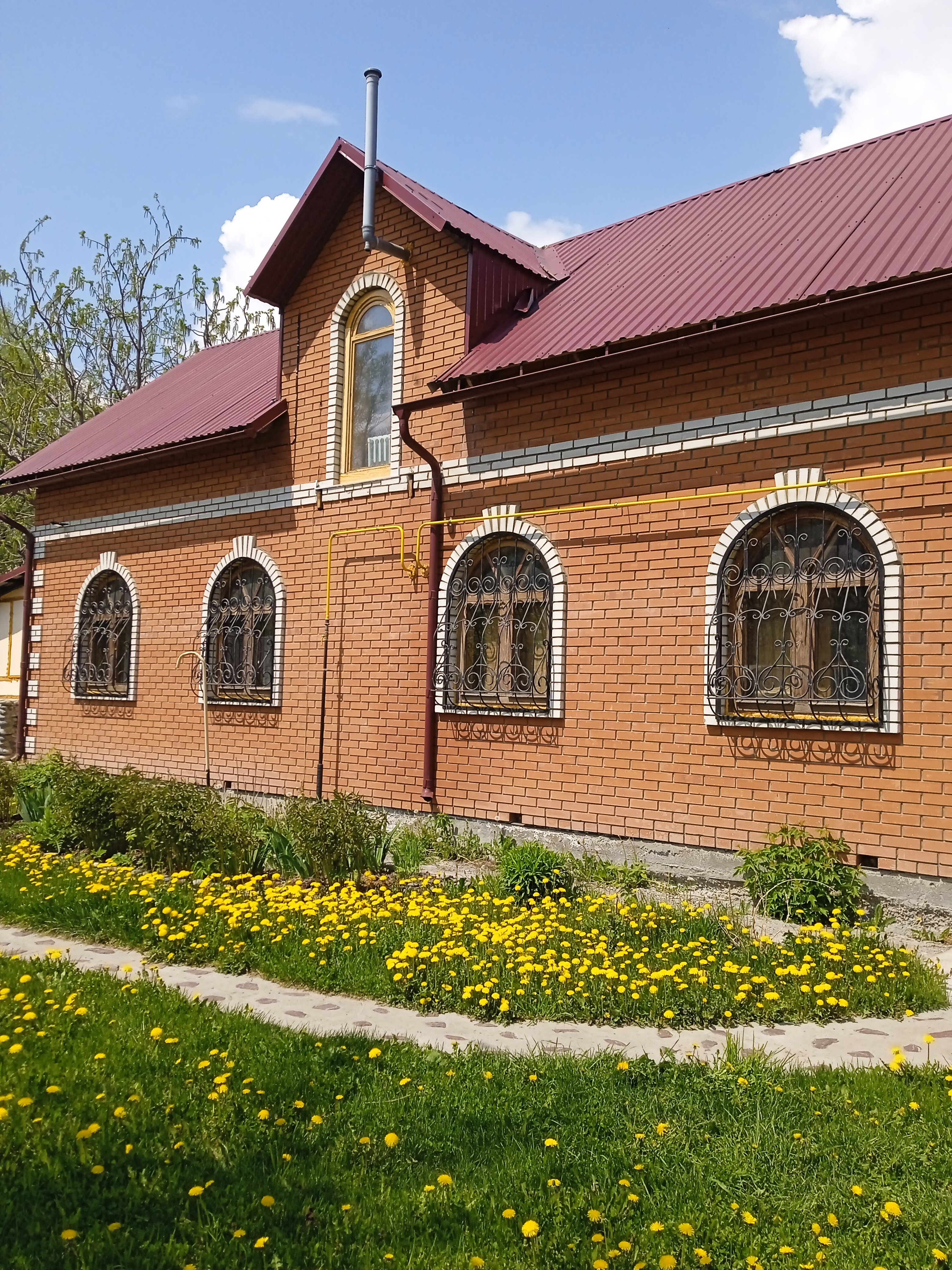 Фото Орешек