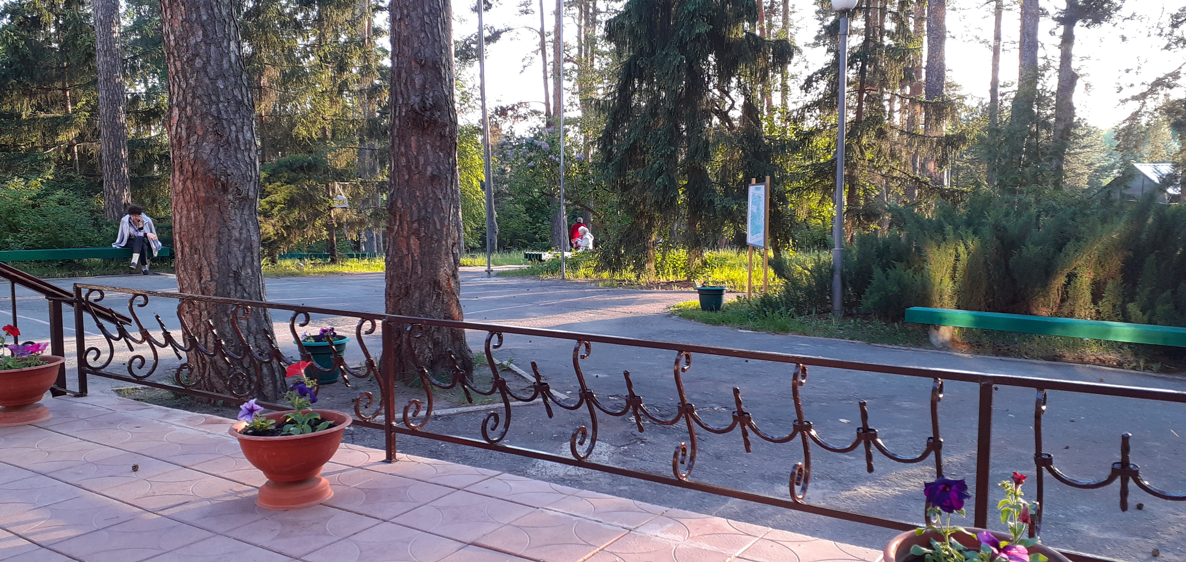 Фото Сосновый бор