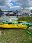 Своя Волна (Yaroslavl, park Podzelenye) ، تنظيم الأحداث