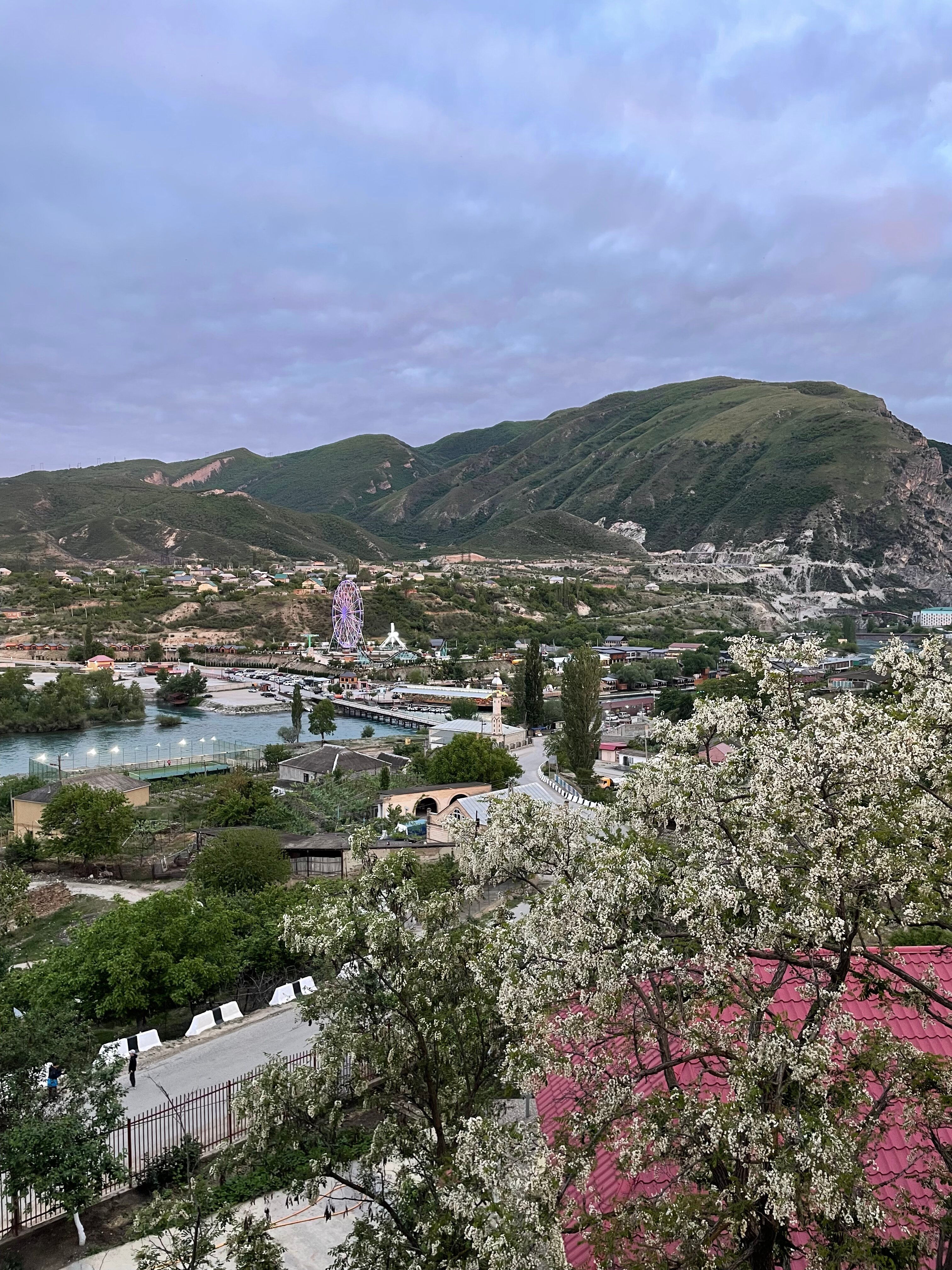 Фото У Хабиба