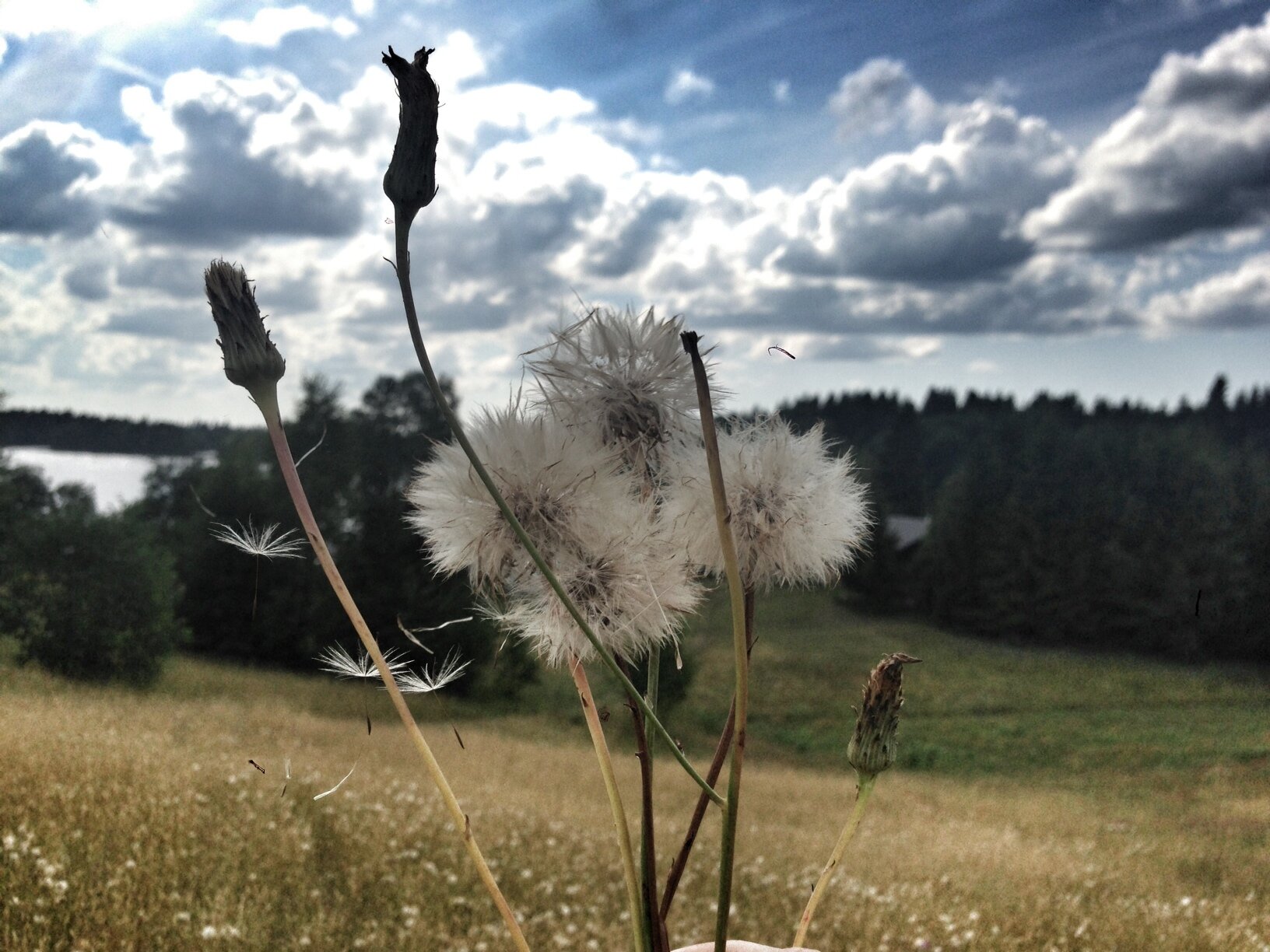 Фото Точка отдыха