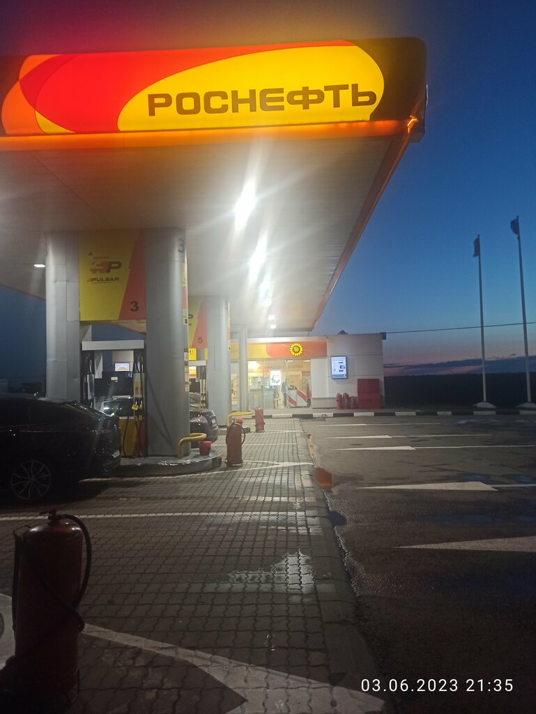 Gas station Rosneft, Tula Oblast, photo