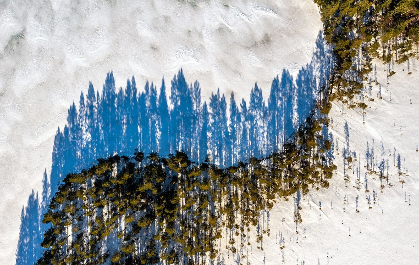 Фото Экотурсервис