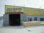 Lesovik (rabochiy posyolok Kolyvan, Zapadnaya ulitsa, 21), hardware hypermarket