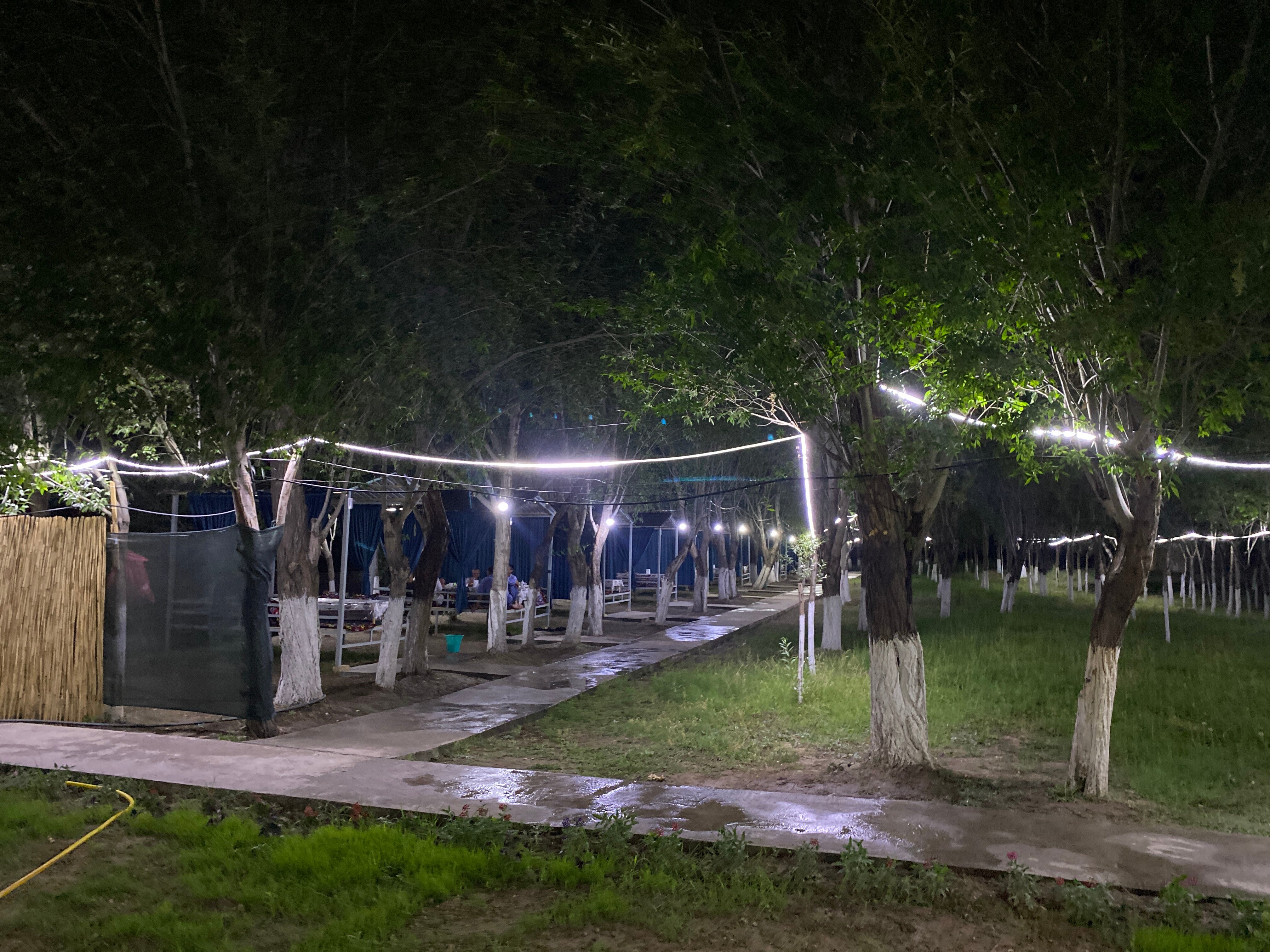 Ota kichkina qizi bilan jinsiy aloqada