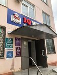 Sakhazhda yoga (Pobedy Avenue, 29А), estudio de yoga