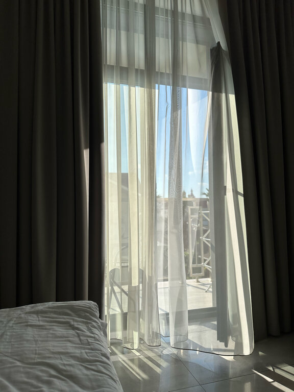 Фото Две оливы