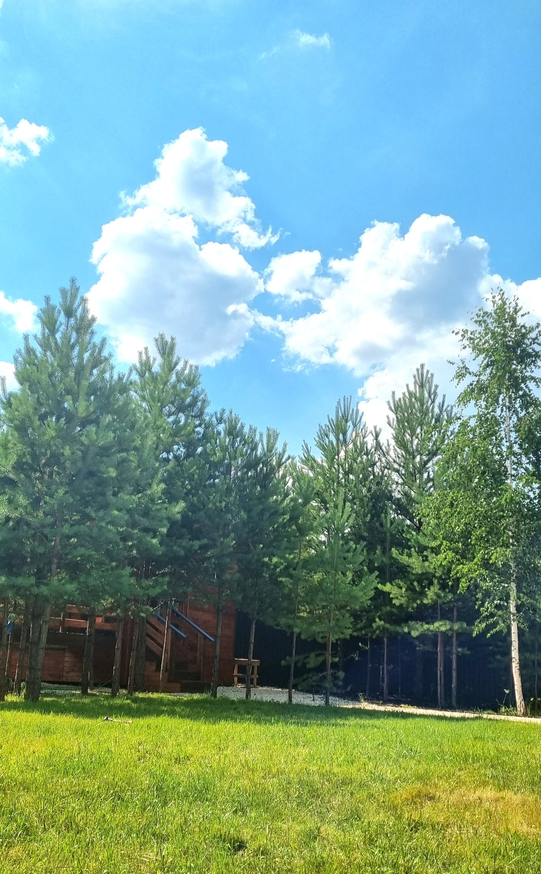 Фото Barn u lesa