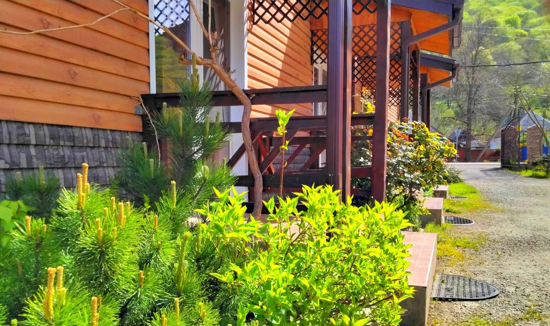 Фото Аммонит