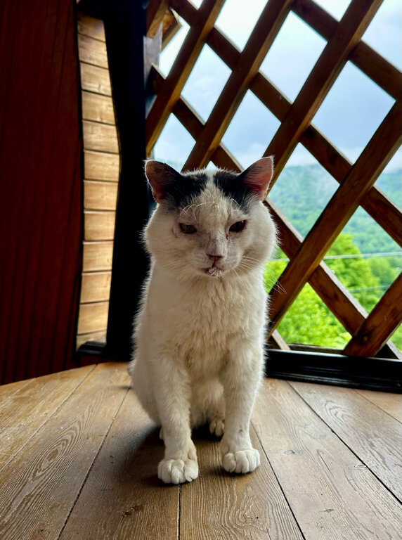 Фото Китайская деревня