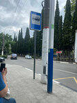 Кинотеатр Октябрь (Ялта, Московская улица, 47А), public transport stop