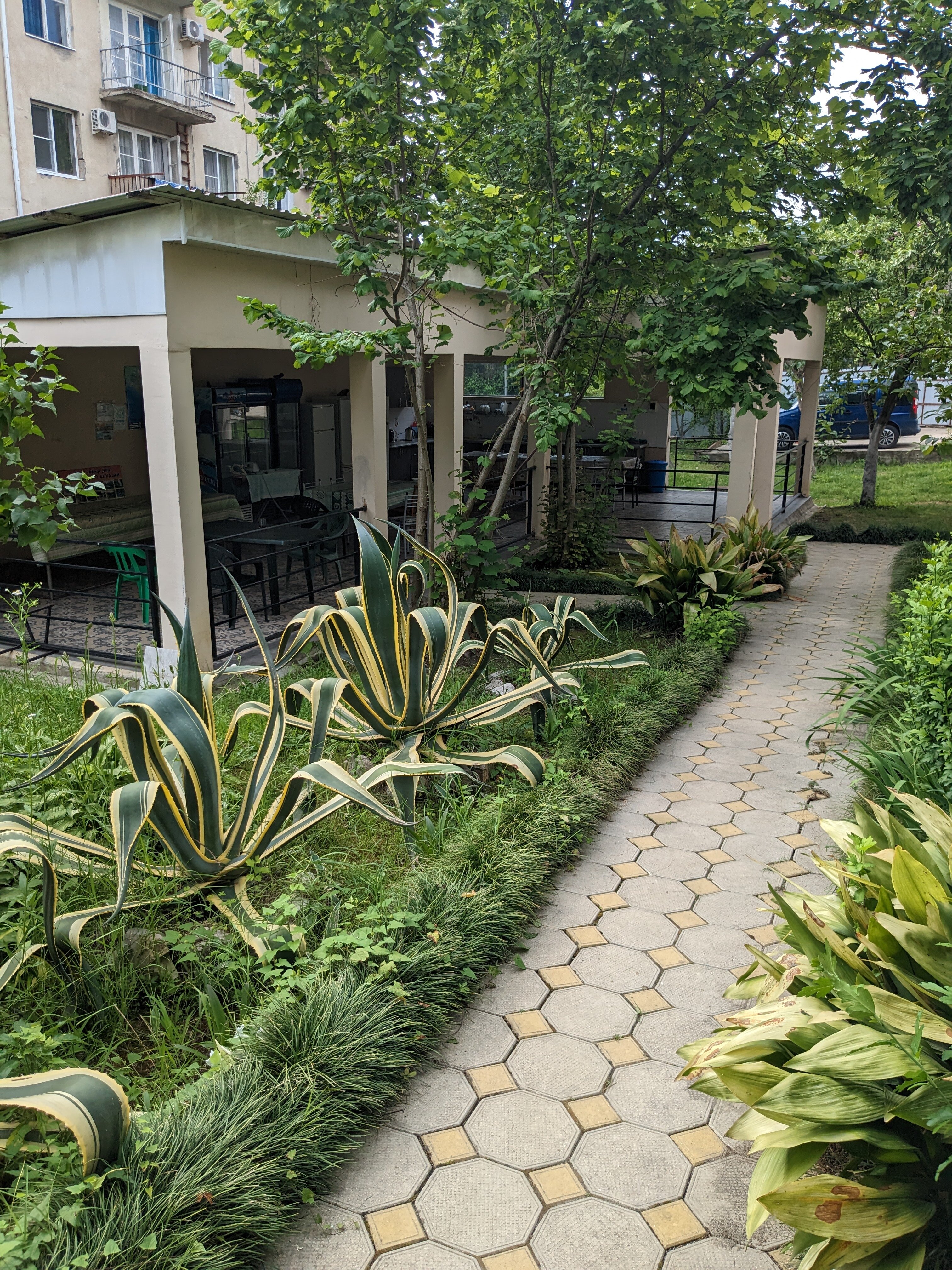 Фото 93044614489