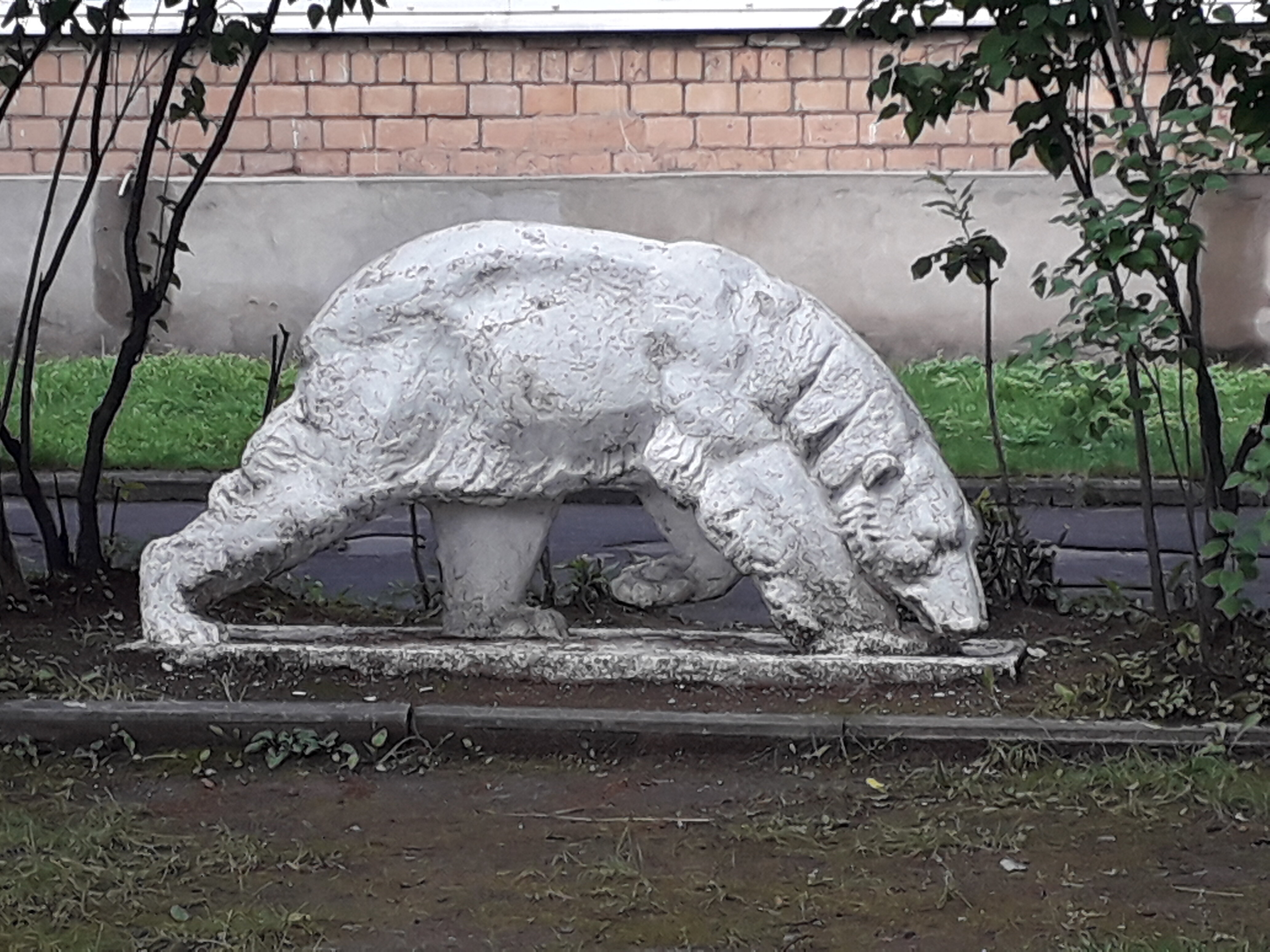 Хк медведи москва: найдено 77 картинок