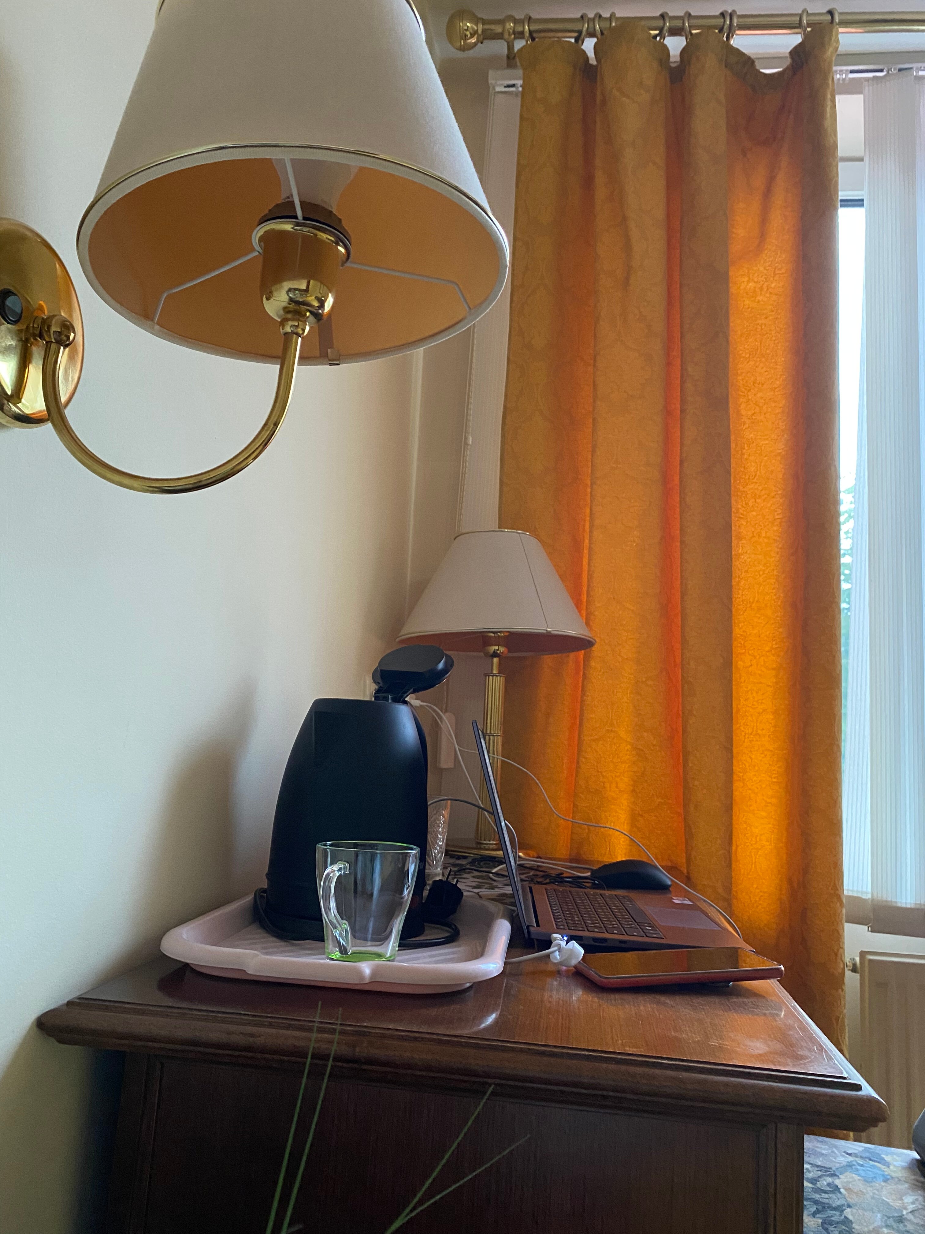 Фото Лебедь