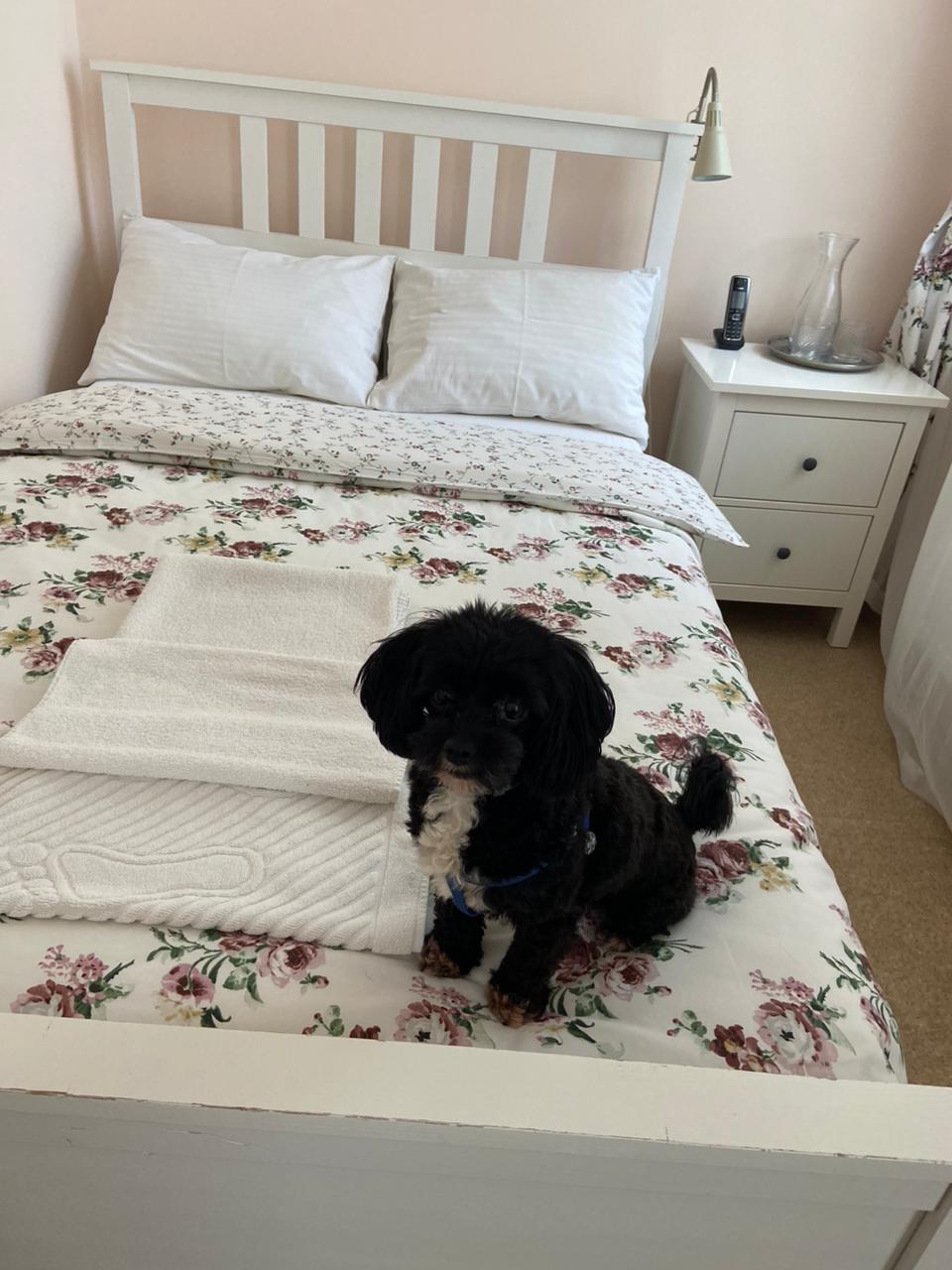 Фото Золотая осень