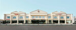 The Elite Cars (​34, Al Bahri street, RB1, Rabdan, Abu Dhabi, Abu Dhabi Municipality, Abu Dhabi Emirate), car dealership
