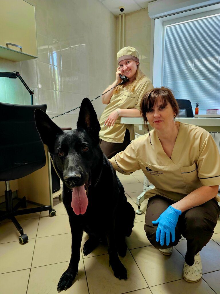 Veterinary clinic Chelyabinskaya gorodskaya veterinarnaya stantsiya po borbe s boleznyami zhivotnykh, Chelyabinsk, photo