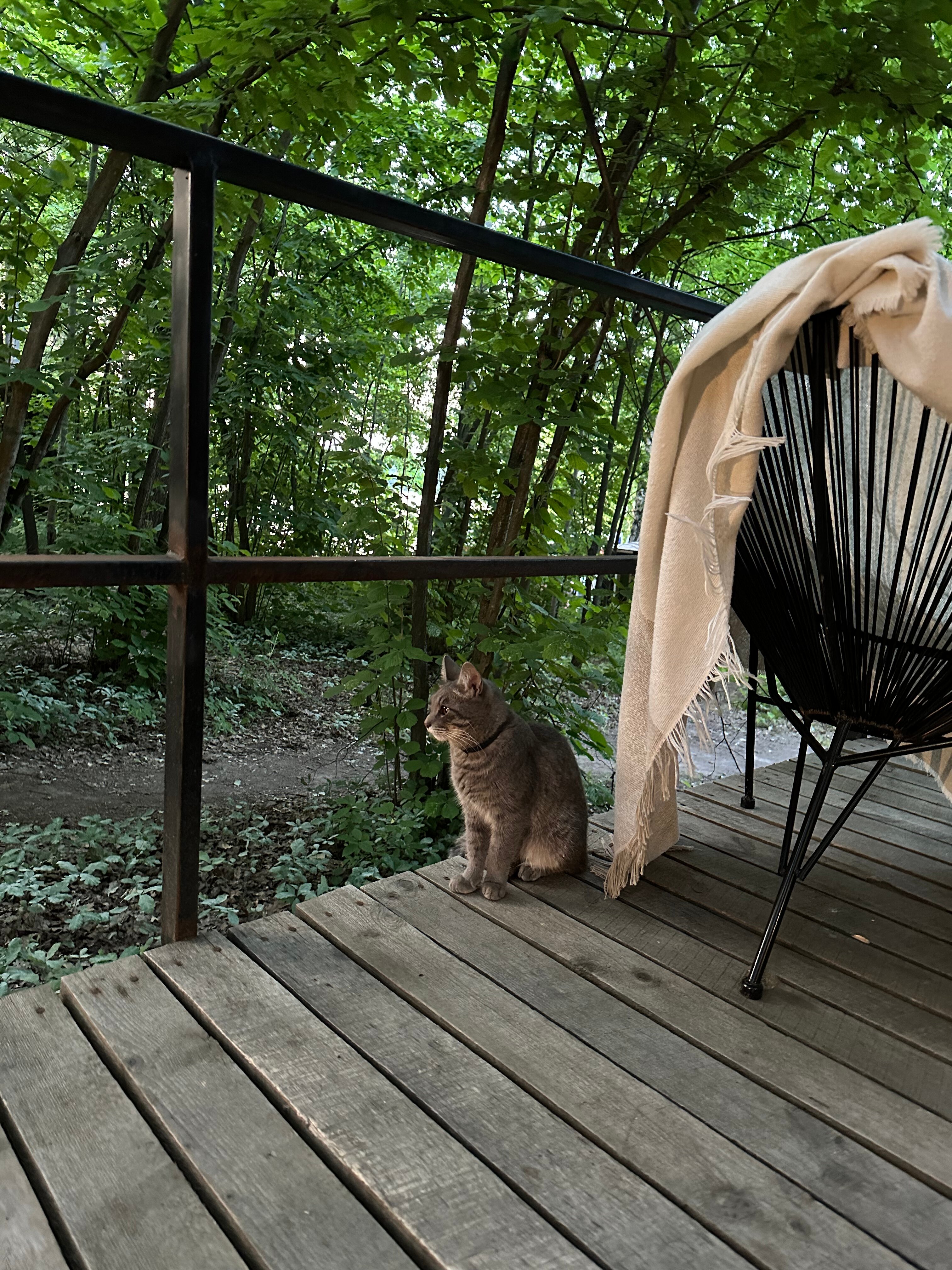 Фото Сила ветра