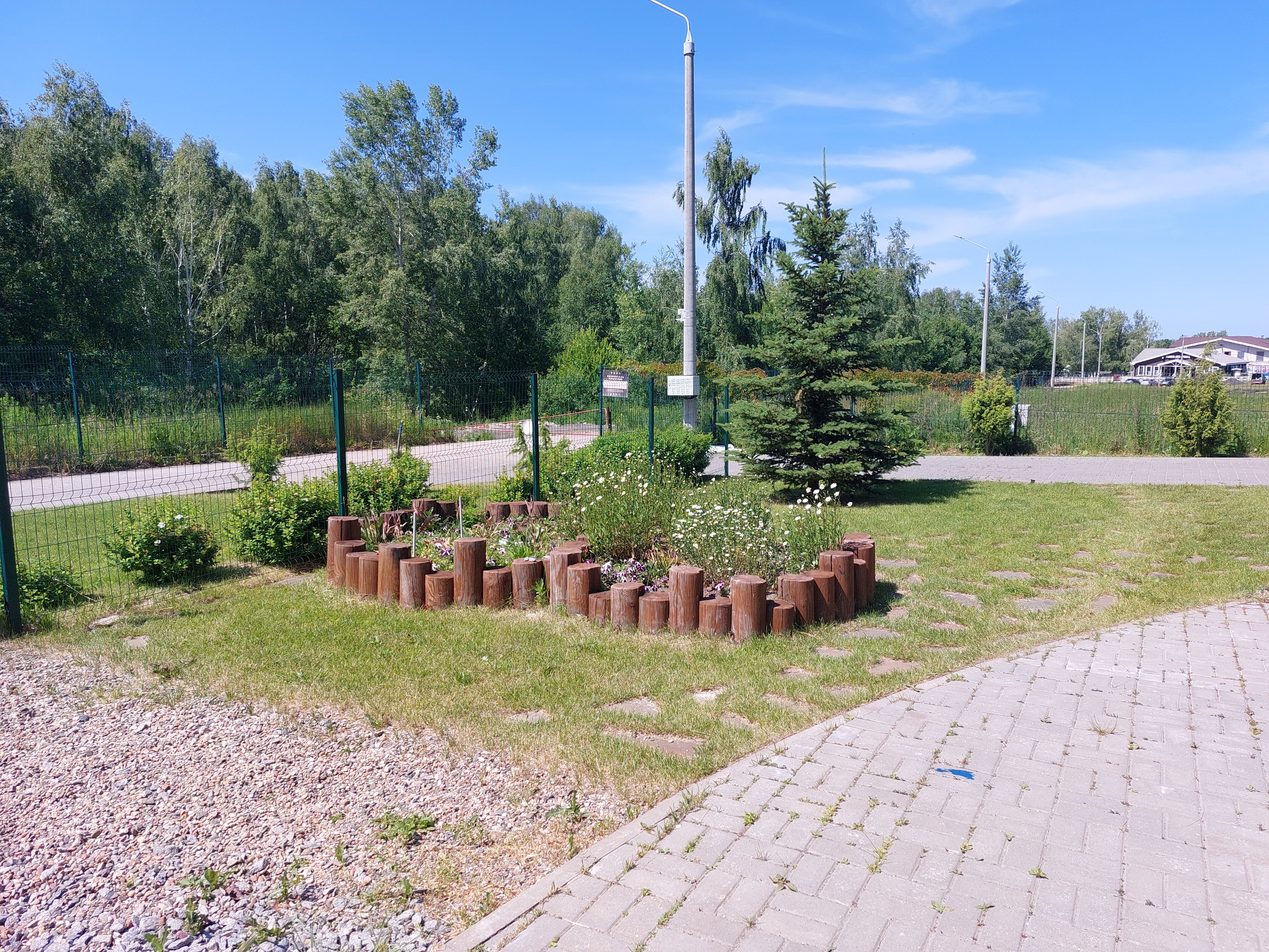 Фото Гнездо