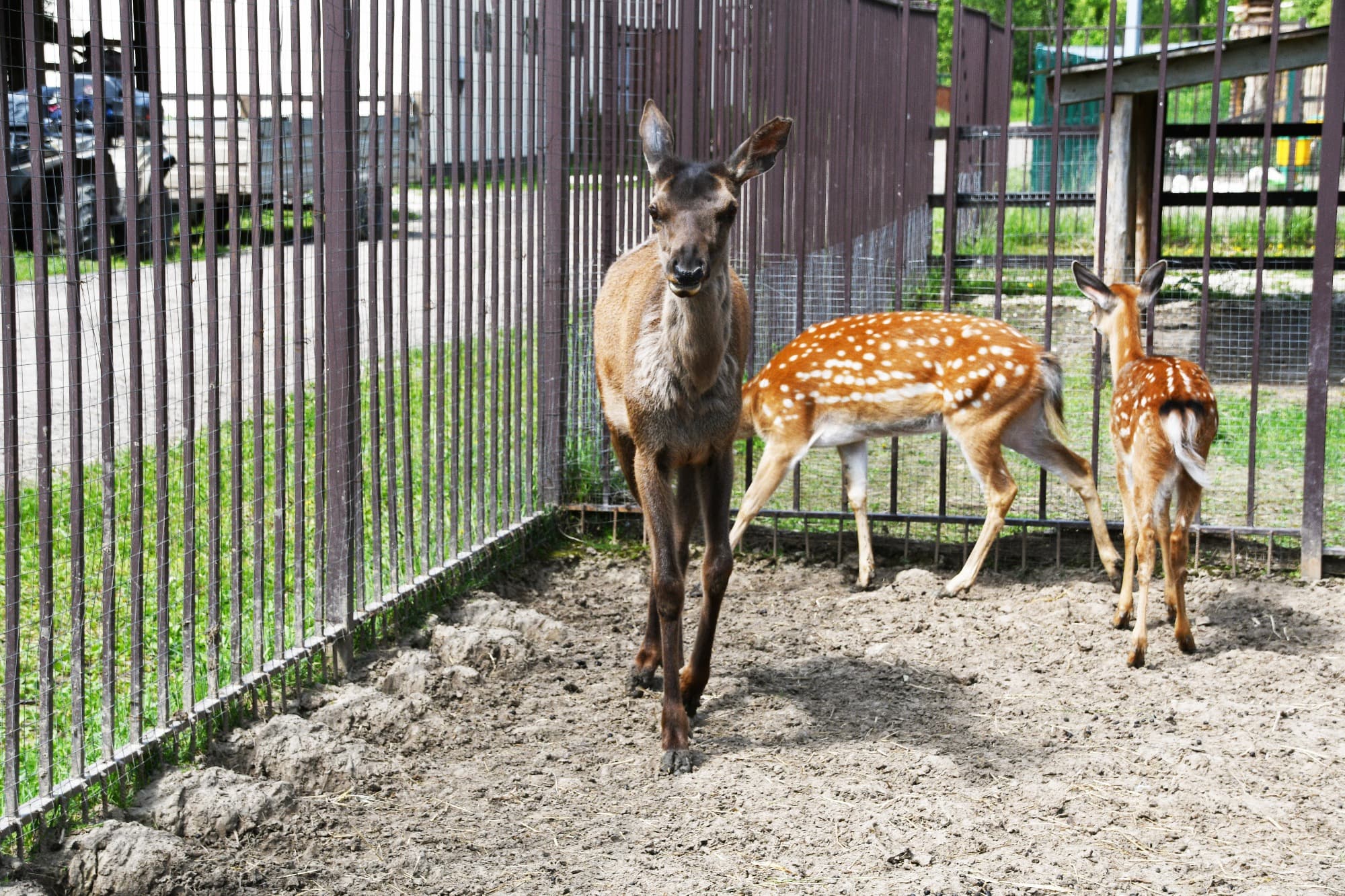 Фото Бунин Ручей