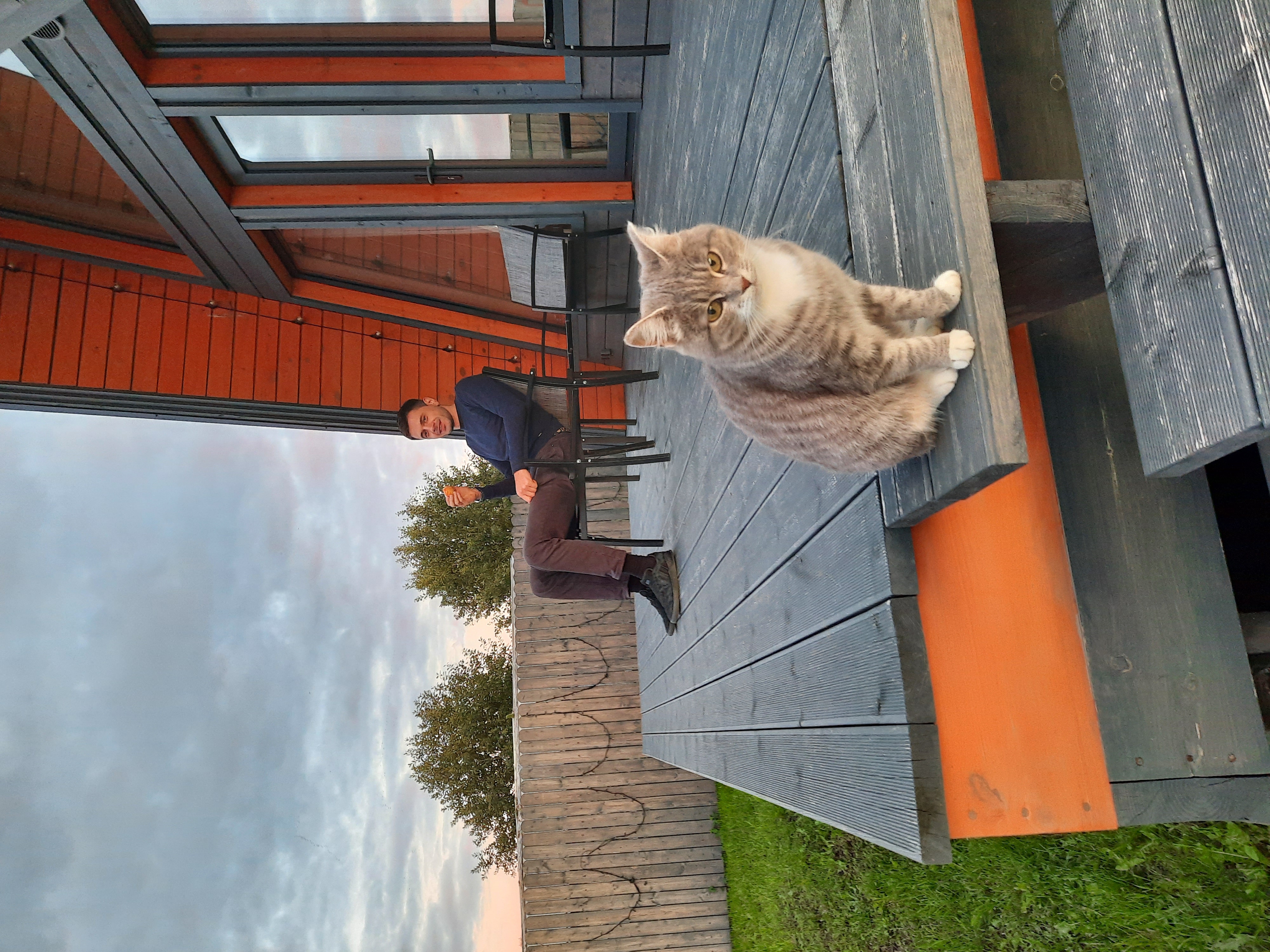 Фото Лиса в шалаше