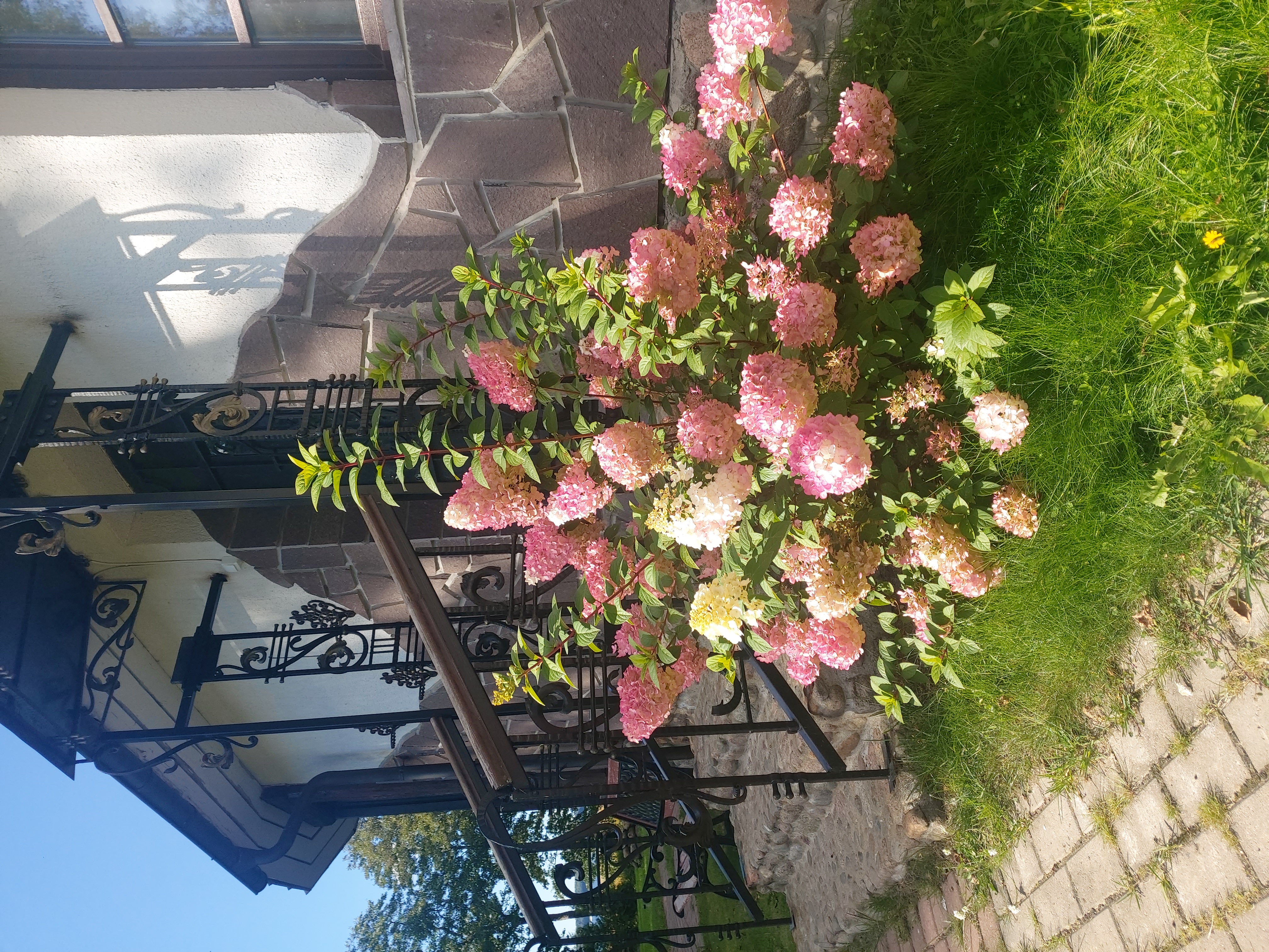 Фото В гостях у Нобеля