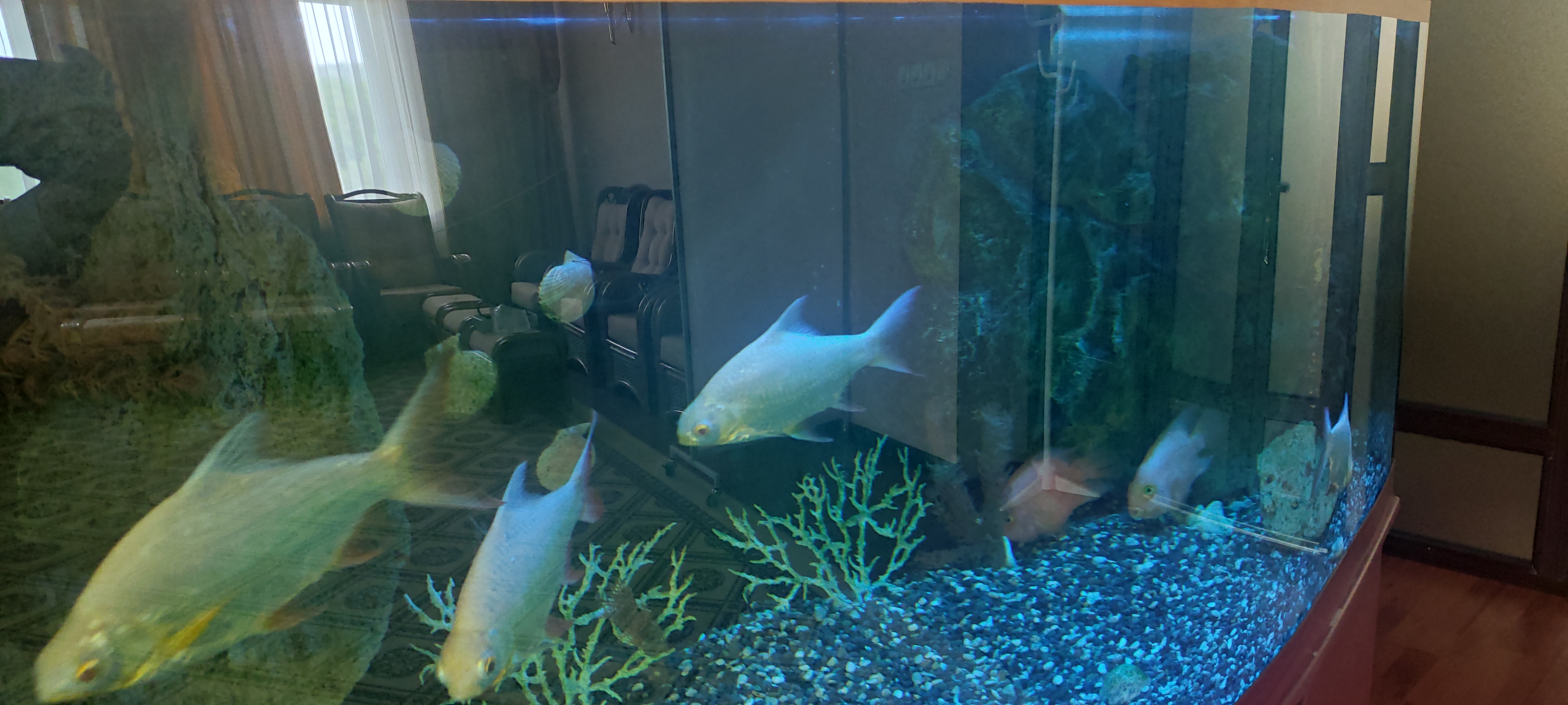 Фото Синдика