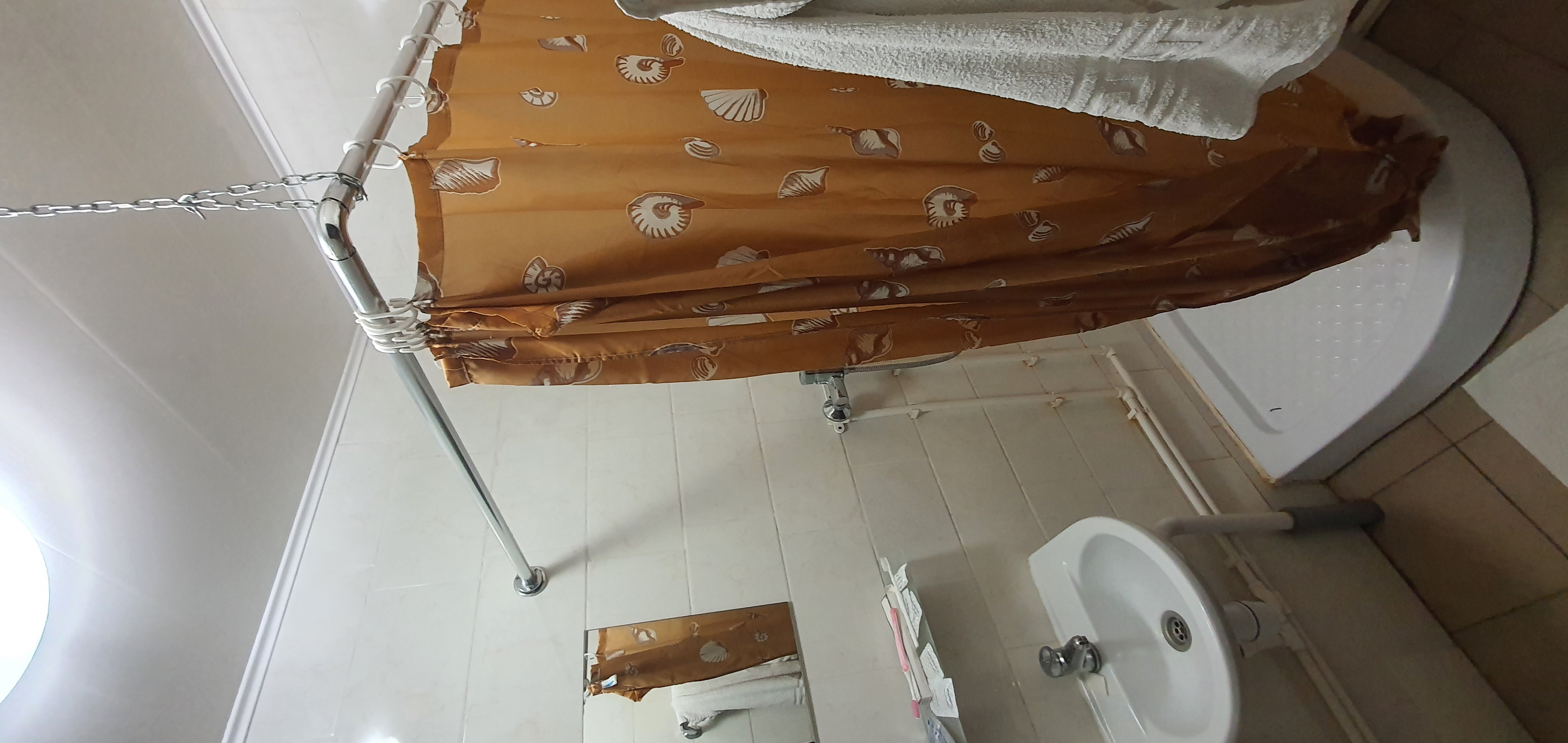 Фото Базилик