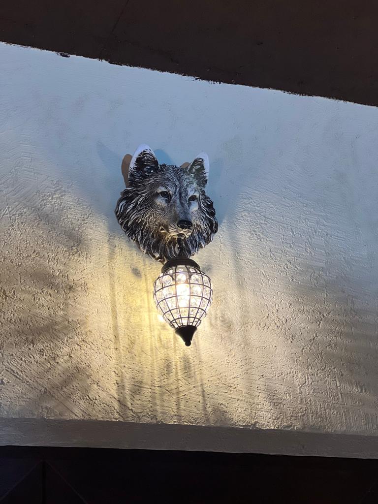 Фото Серый Волк