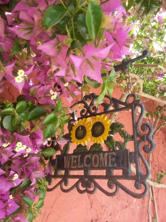 Фото La Coccinella B&b