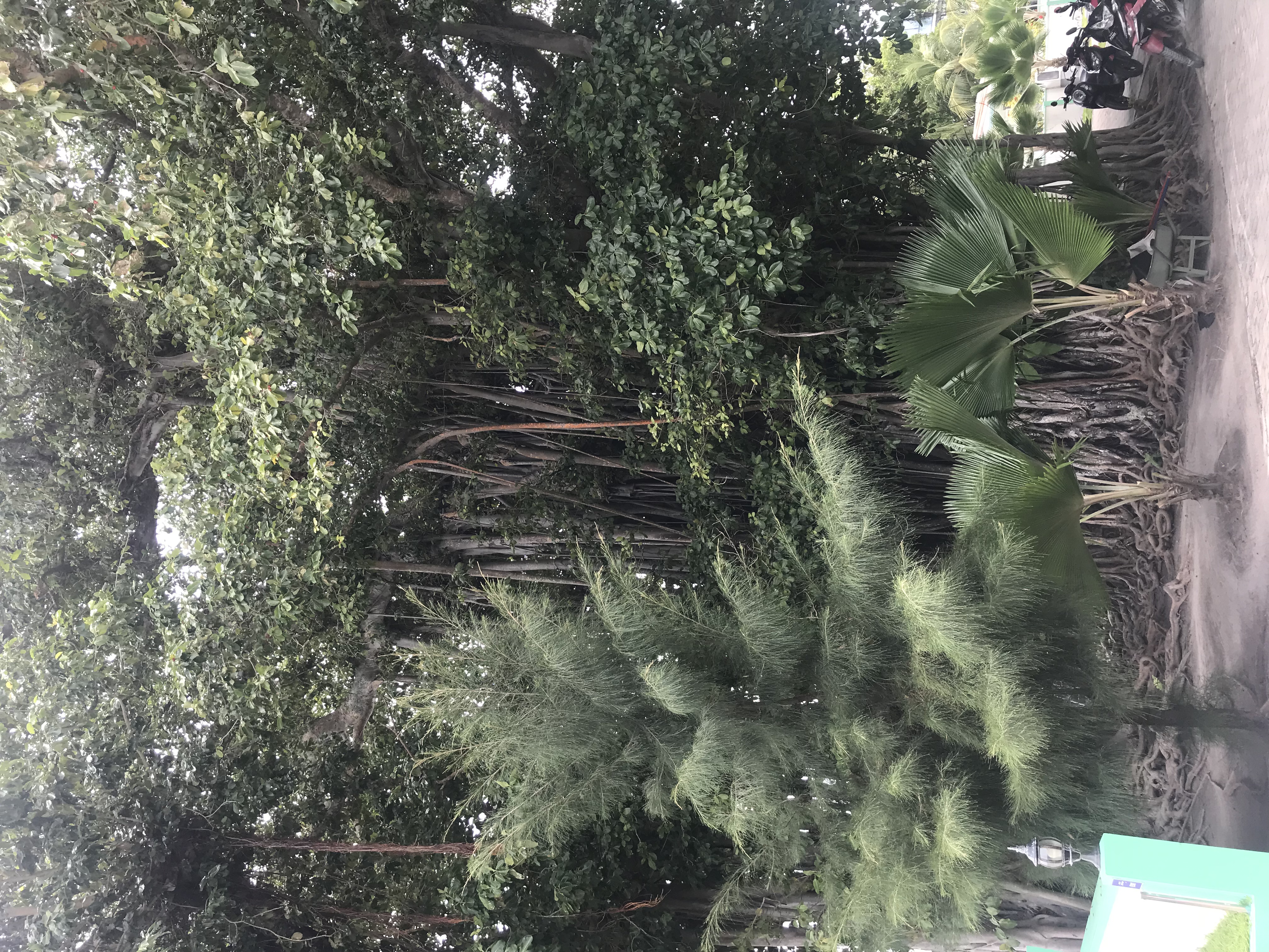 Фото Shallow Lagoon Rasdhoo