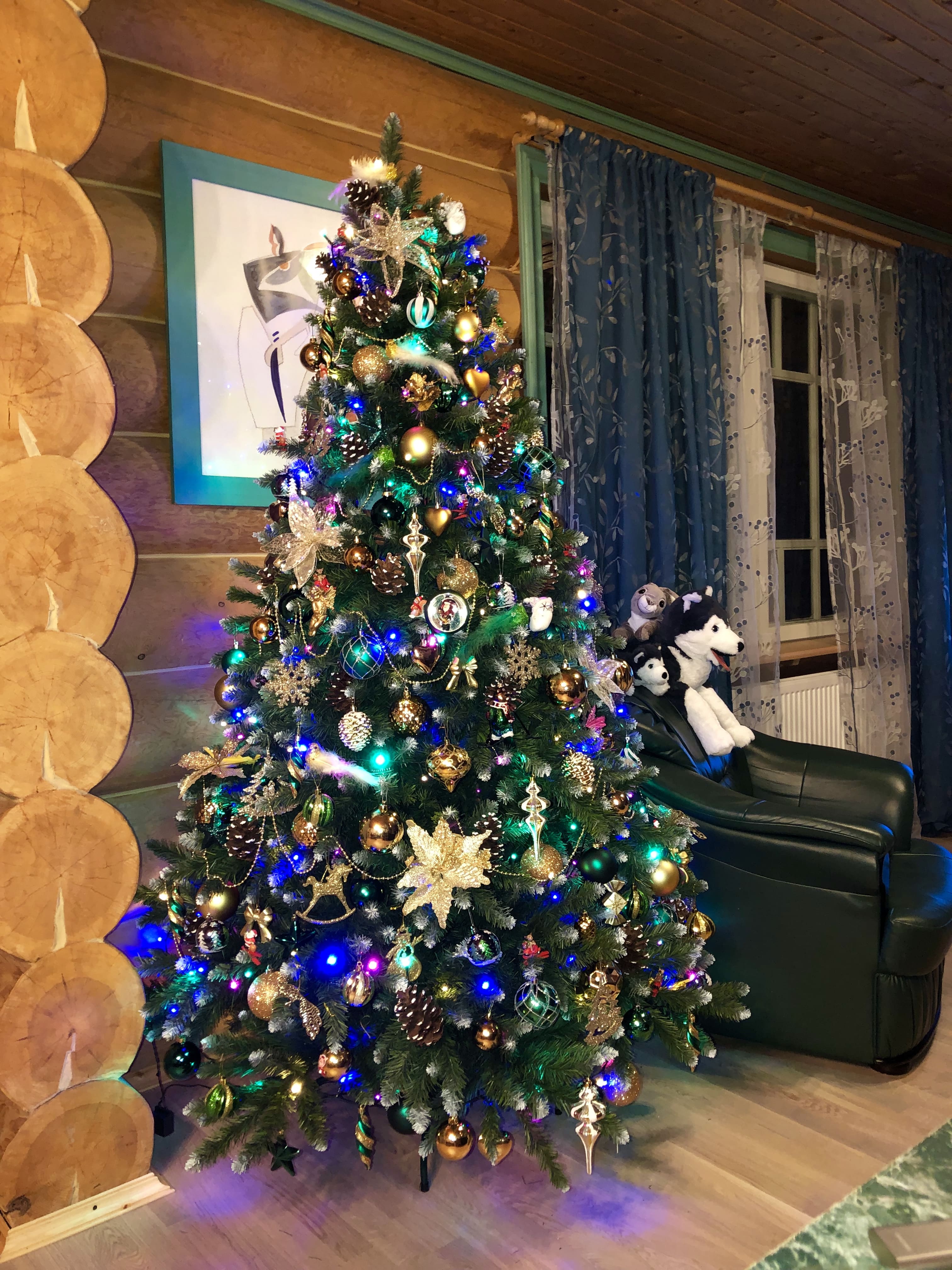 Фото Карелия Медвежка