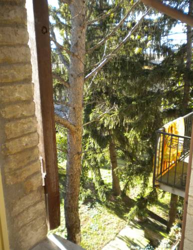 Фото 163816435258