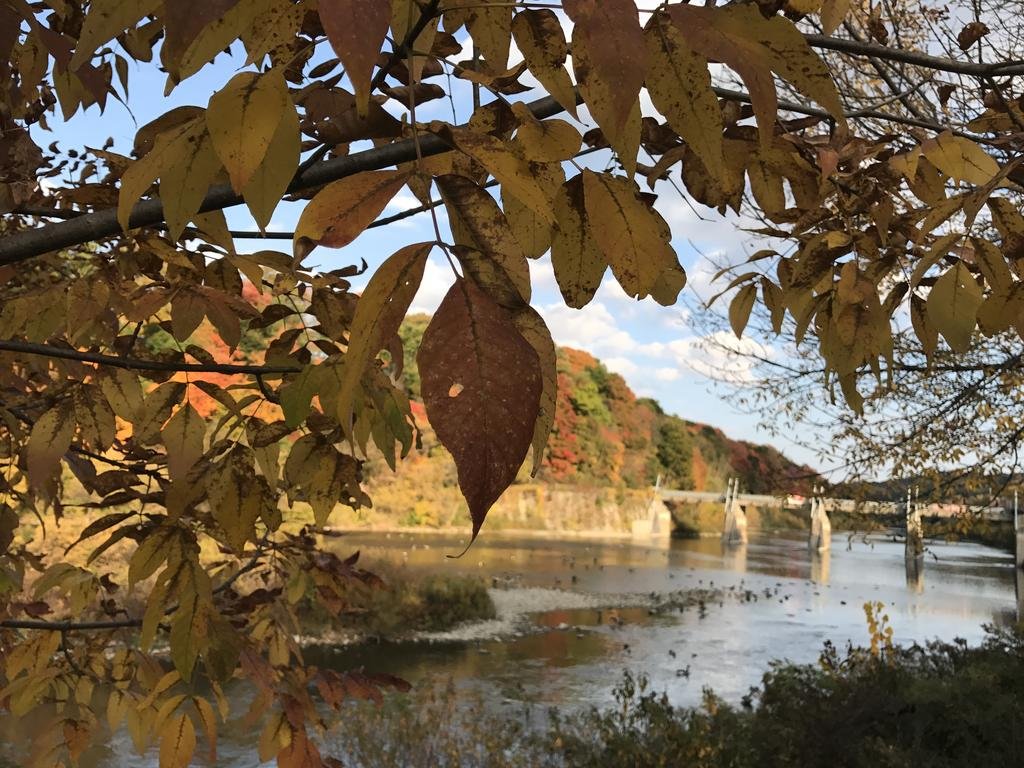 Фото Staybridge Suites London