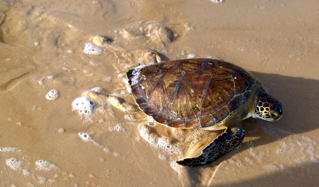 Фото Pousada Residencial dos Corais