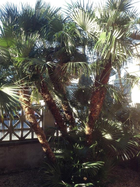 Фото Home Sweet Rome Guesthouse