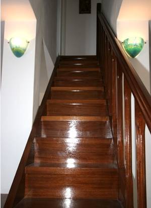 Фото Hydra Erato