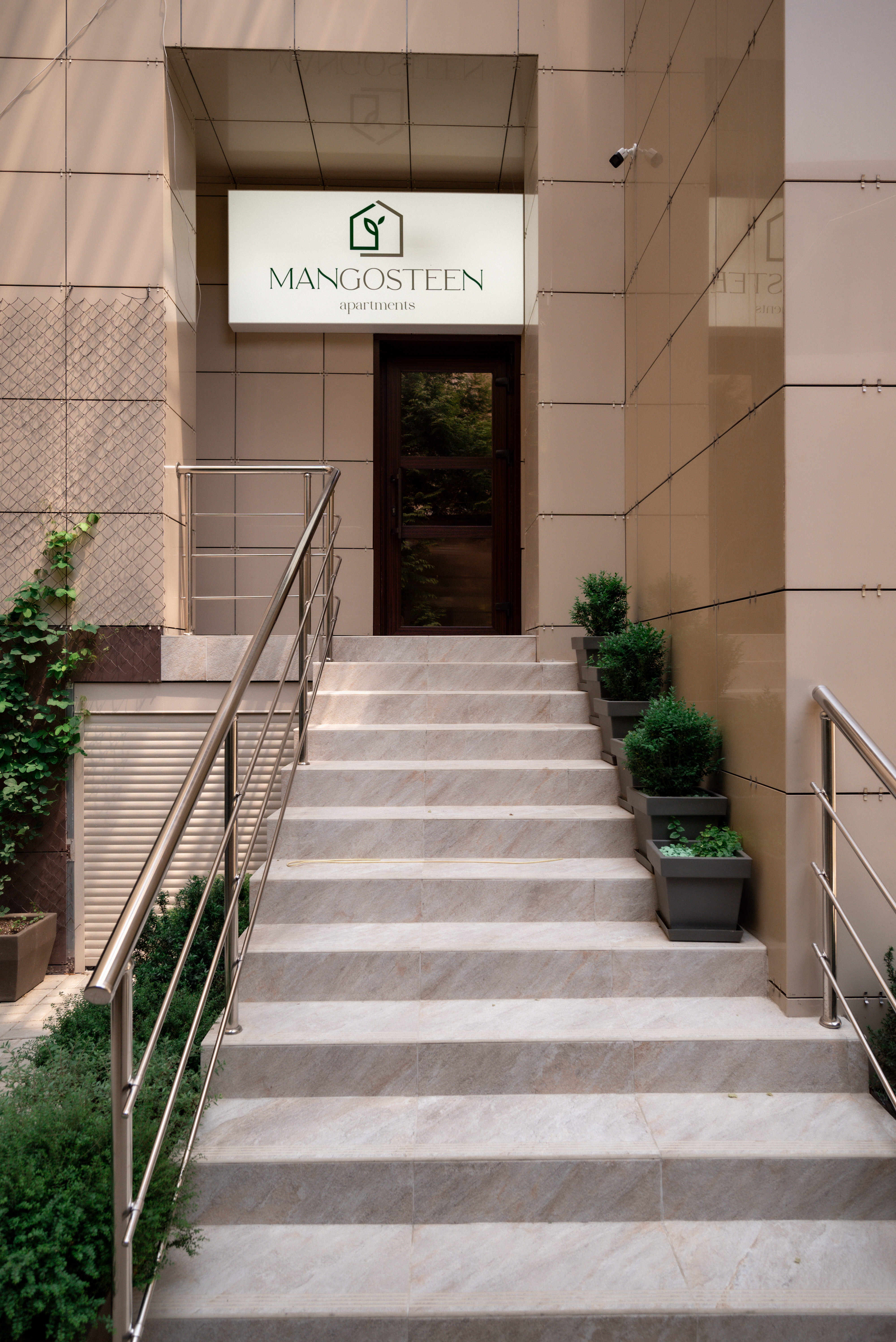 Фото Мангостин