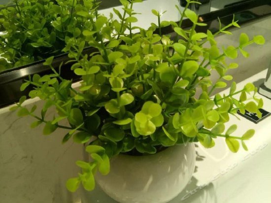 Фото Xana Hotelle