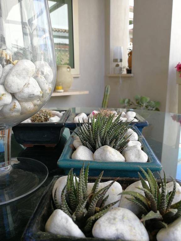 Фото Il Giardino Dei Limoni