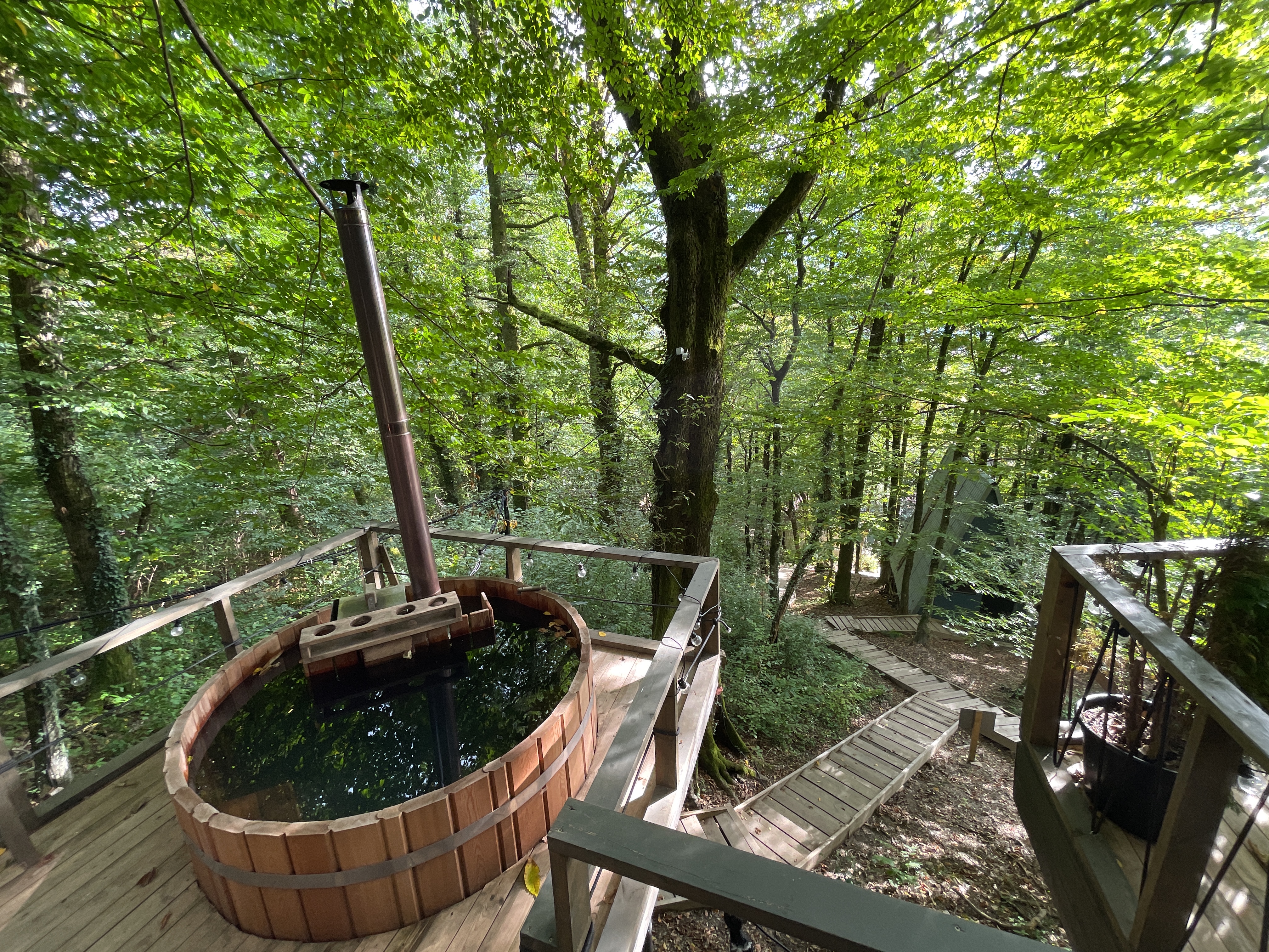 Фото Дзен Поляна