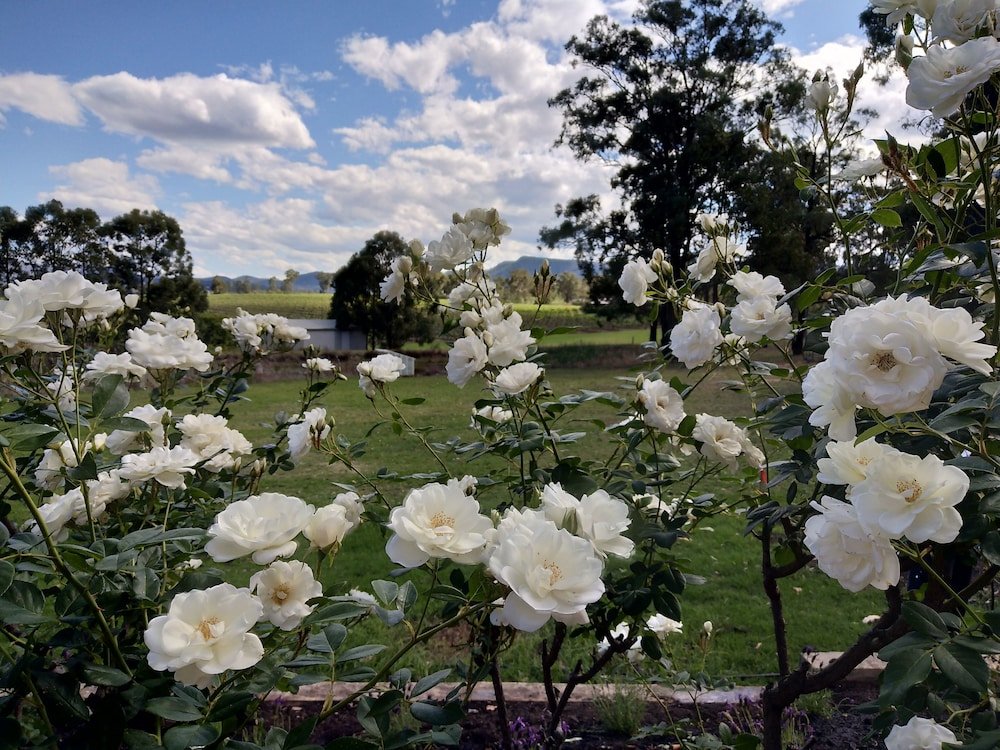 Фото Villa Provence