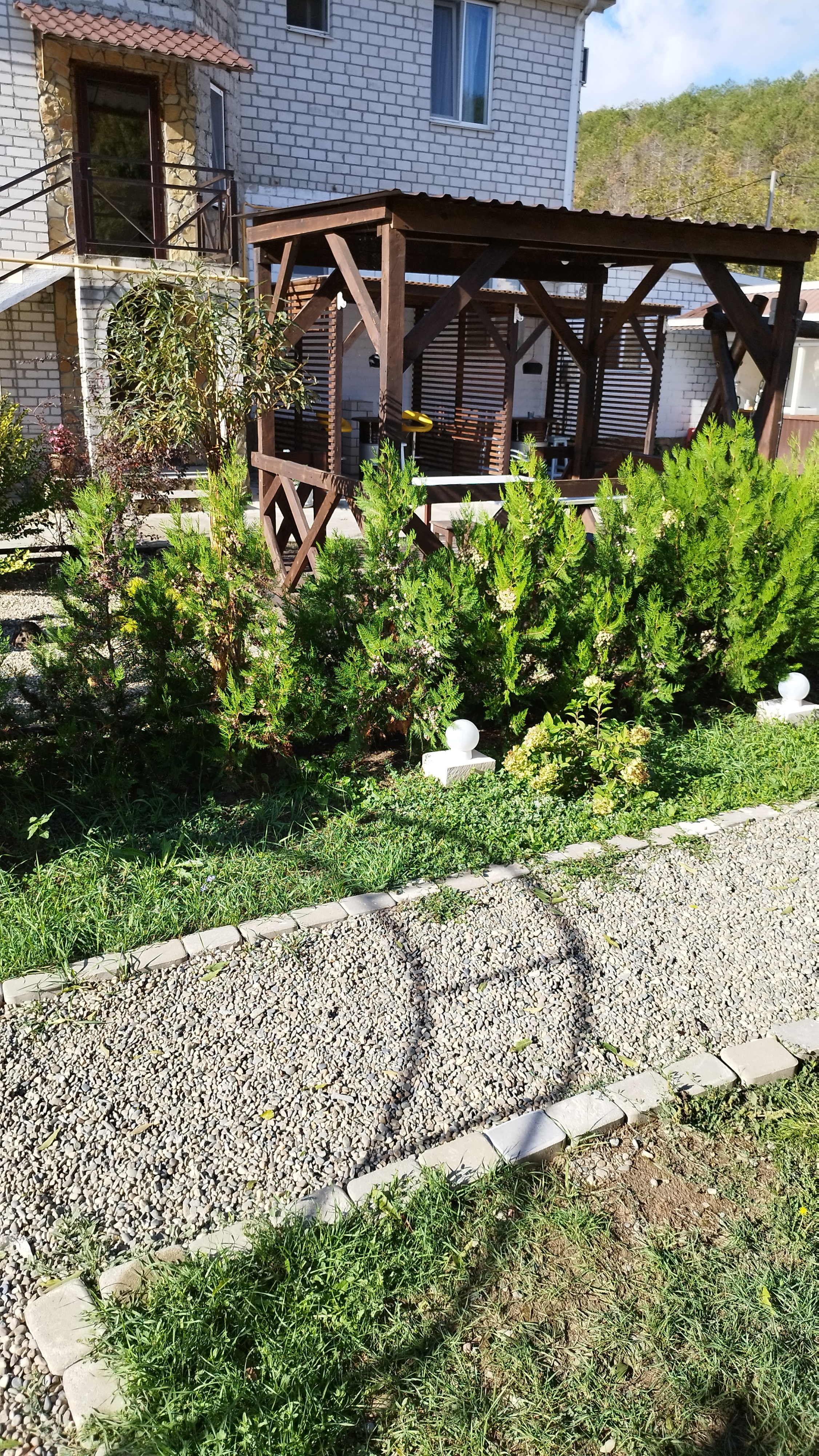 Фото Надежда