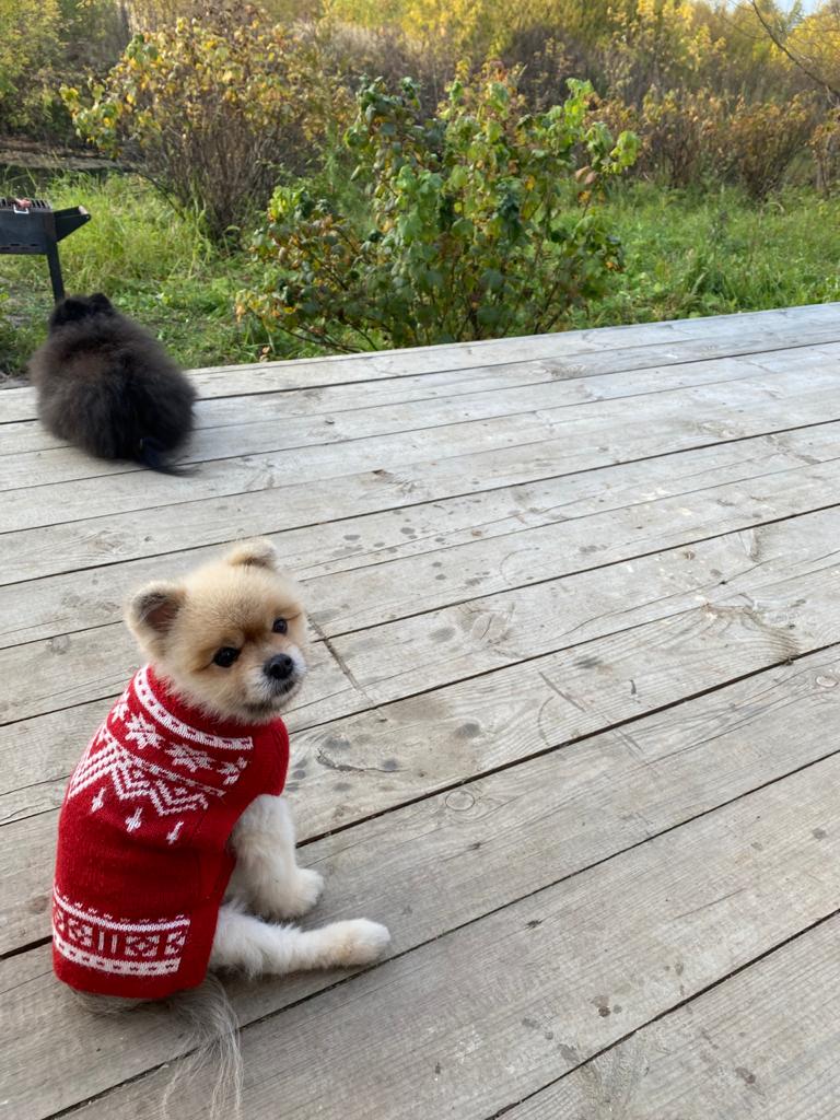 Фото Дом у лесного озера