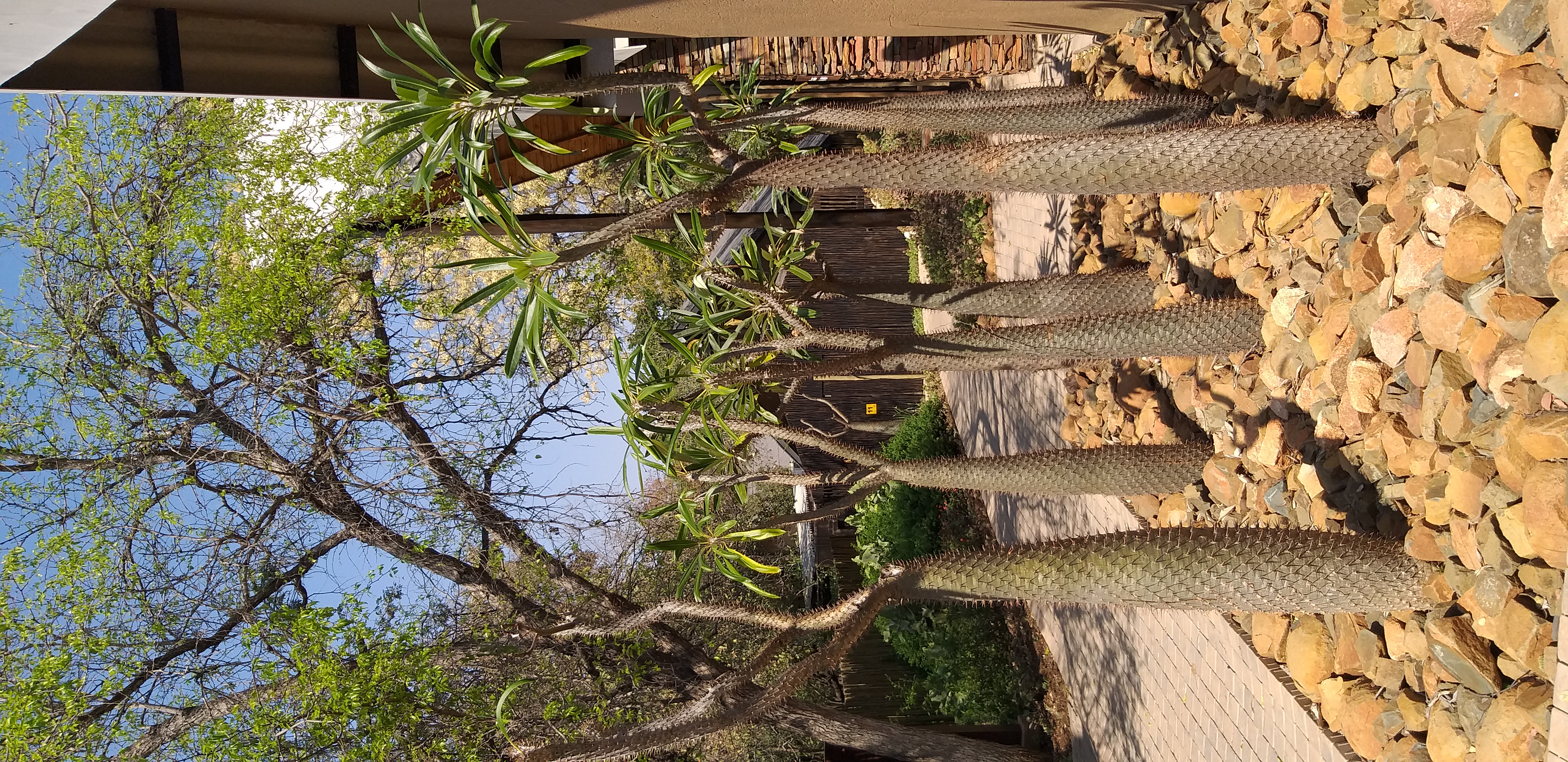 Фото Kruger Gate Hotel