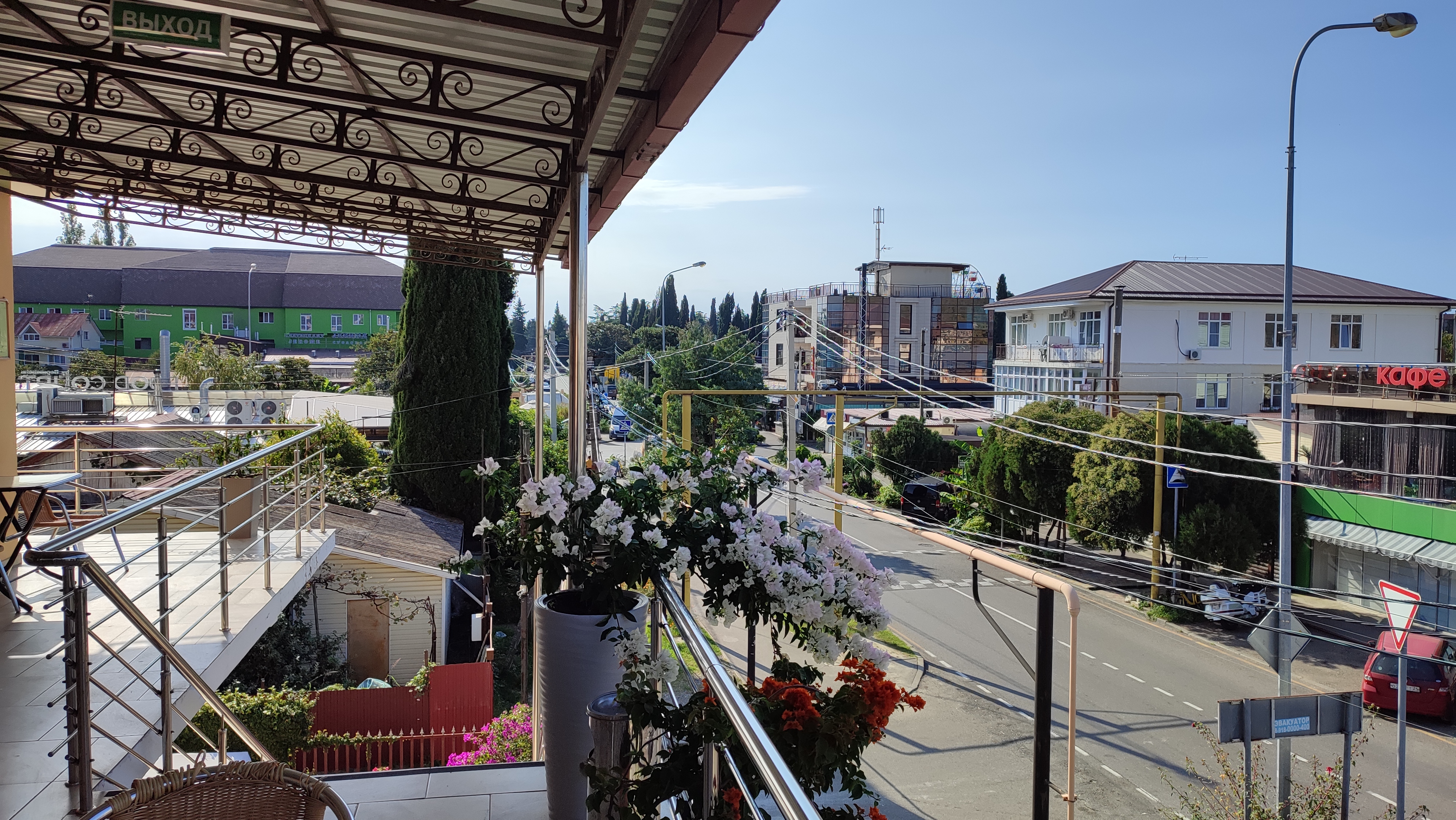 Фото Дельфин