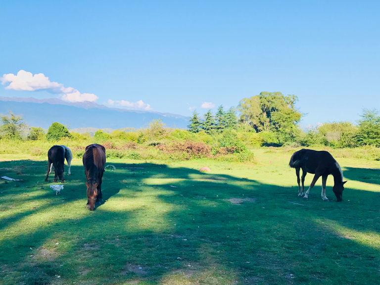 Фото Литфонд