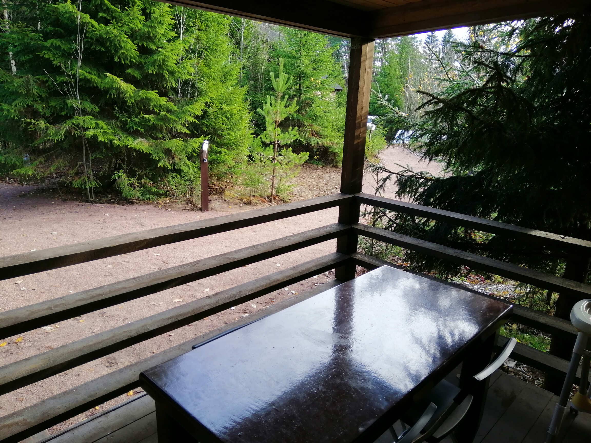 Фото Парк Лесок